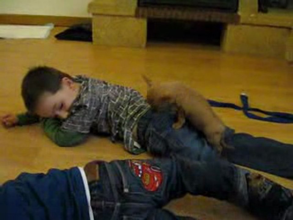 Elvin sur le dos