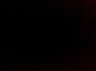 Raphael et Salvator beuf maison 730