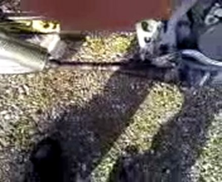 gilera gsm hebo pata negra