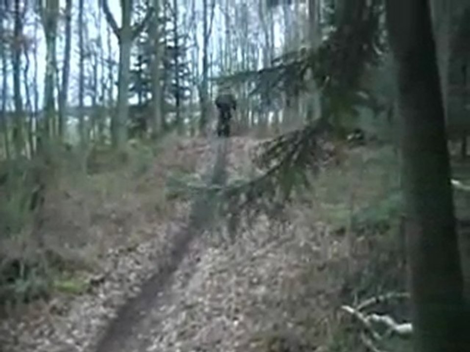 riding d'hiver