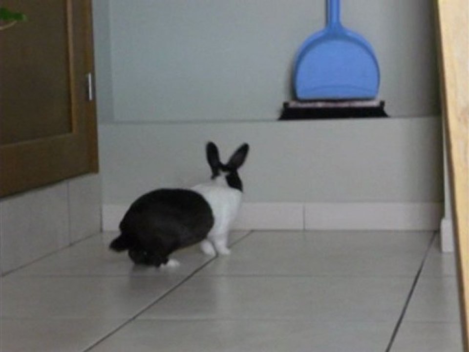 Starlette ♥