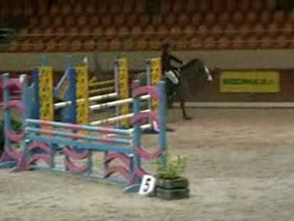 Concours Moorsele 31/01 1m