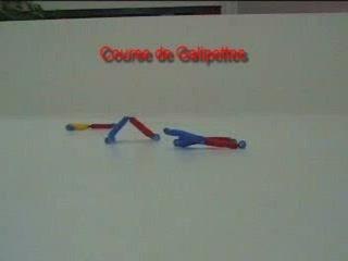 Course de Galipettes