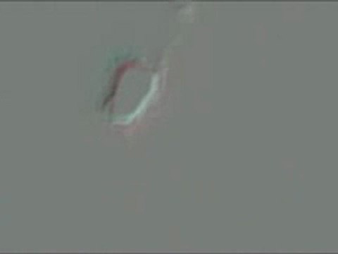 ovni usa,31 janvier 2010