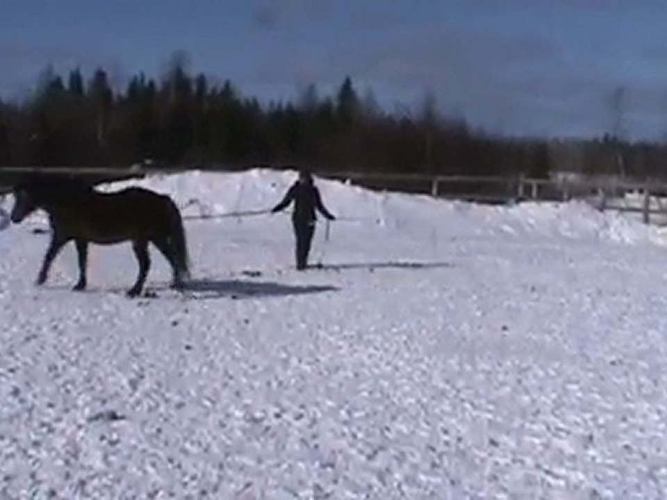 Folie à la longe (2)