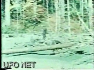 Video ,Bigfoot (koca ayak)