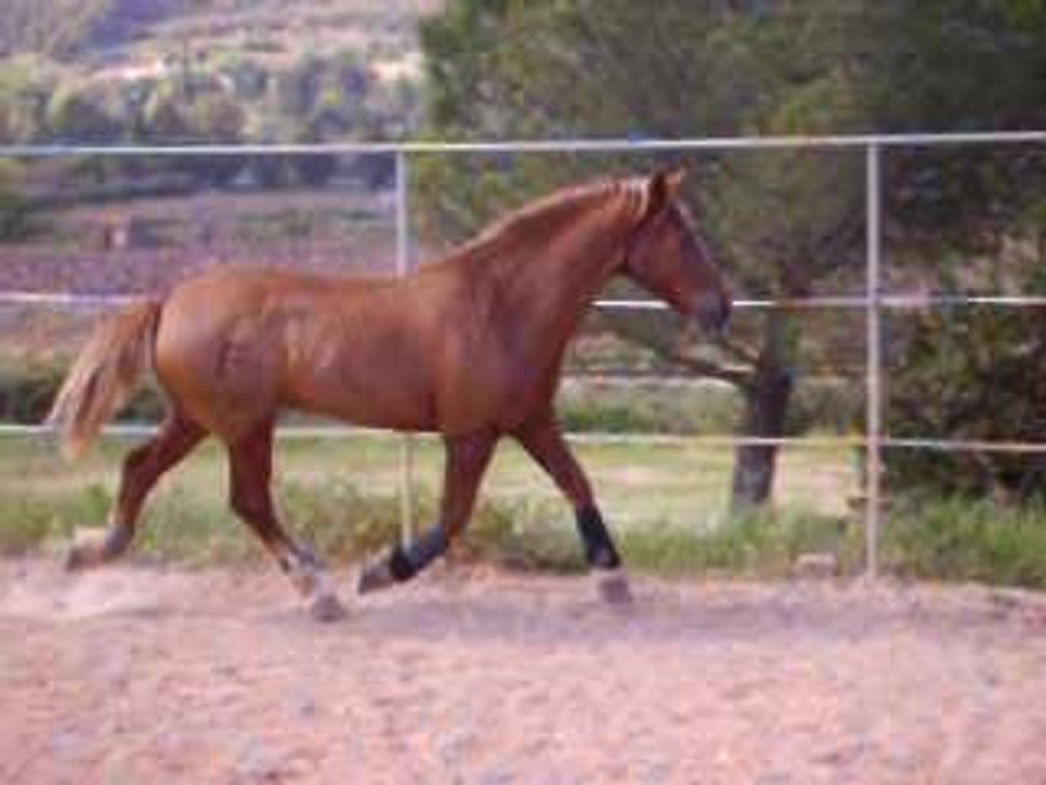 furio ds la carriere