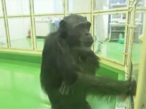 Planete Terre Evoluer Pour Survivre 3