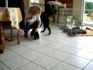 moment de socialisation