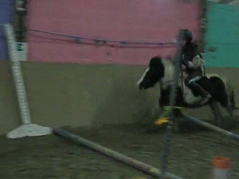 saut de puce sans filet