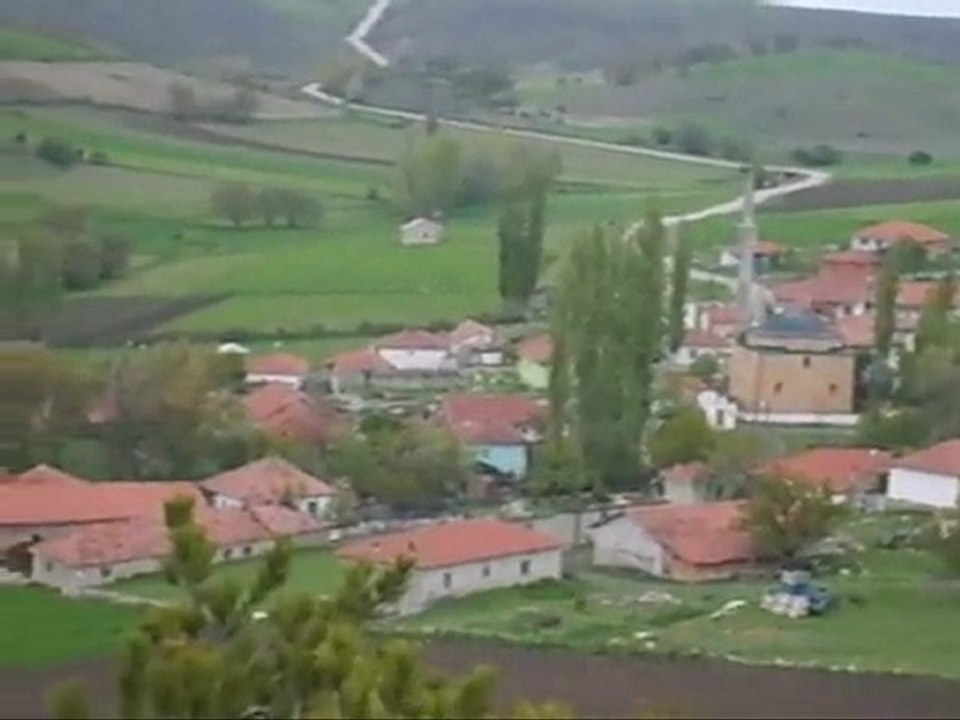 Altıntaş Köyü Çamlığından Altıntaş