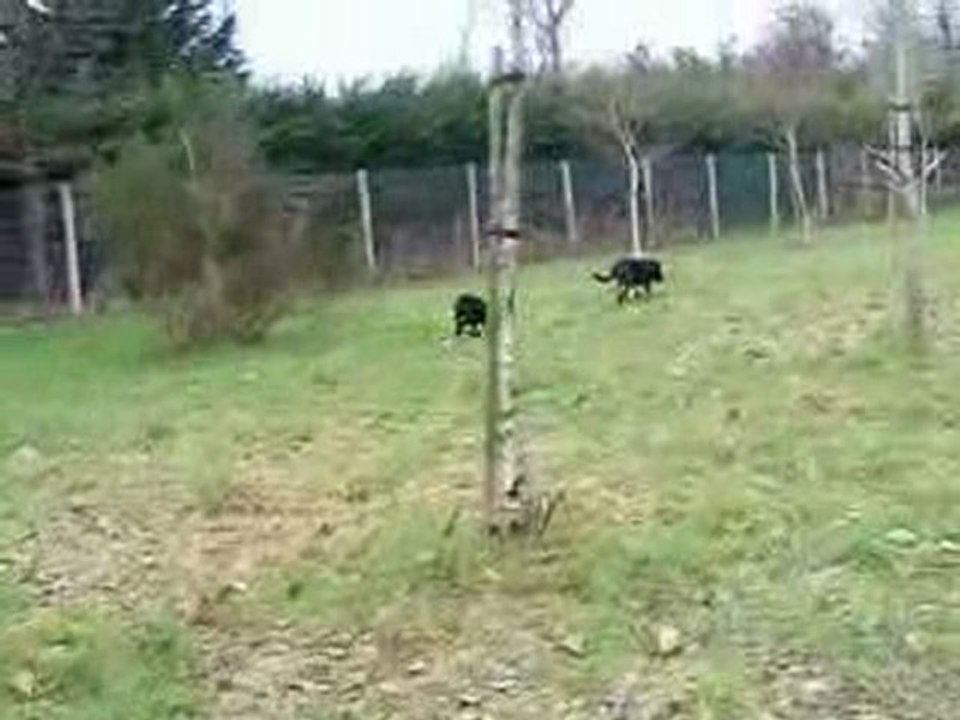 éole, véga, bounty le 06 02 2010