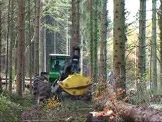 Exploitation bois Nawé (partie 3)