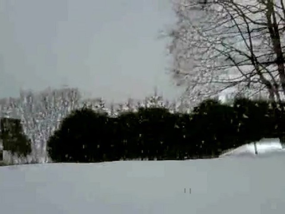 Chutes de neige, vue de l'appart, Demi-Quartier, Fév 2010