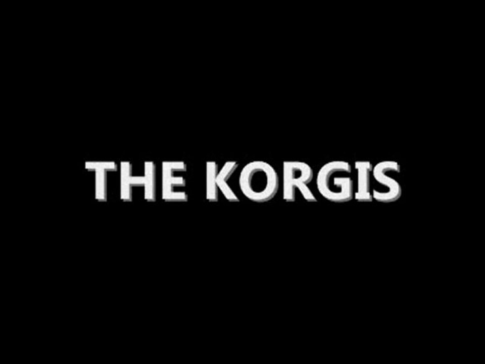 THE KORGIS - Everybody's got to learn sometime
