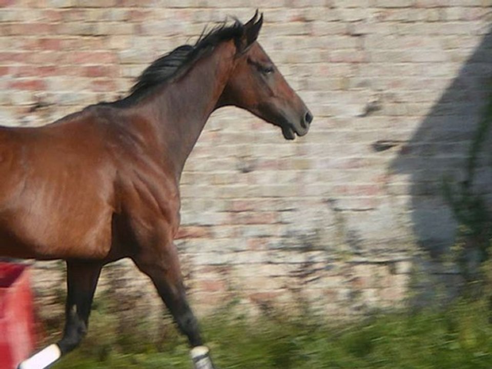 petite video de mon loulou!!!