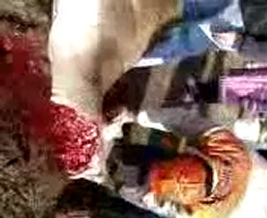 Video0023