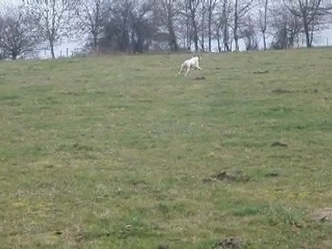 Emir des Tucs Landais 4