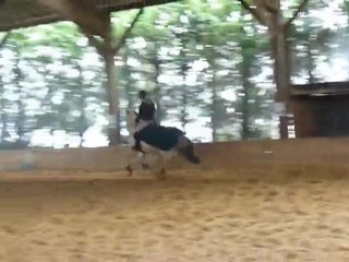 Suite du Cour de Mise En Selle Avec Gold