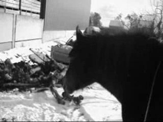 Gamin & Améline (L)