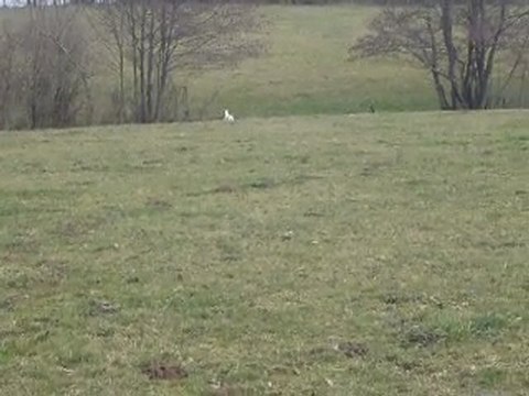 Emir des Tucs Landais 3