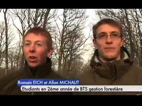 Des arbres centenaires remarquables (Pays d'Othe)