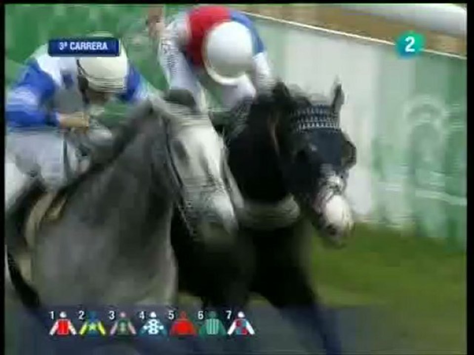 2010.02.07, nº 31 DH (Cruzcampo (Hand 1ªp) NELSON GROOM