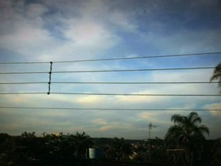 Bu Klip Kanıtıdır Kuşlar Gerçekten Bestecidir.