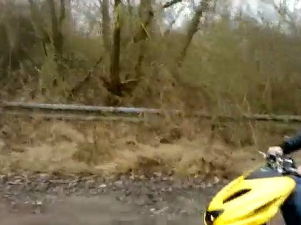 Wheeling Nitro 70cc Stage6 Sport Pro - 300m