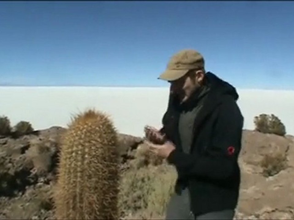 Question montrip les cactus piquent ilspartout dans le monde
