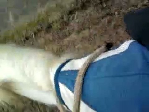 Aiyana : Mini-balade en cordelette (7 février 2010) :D