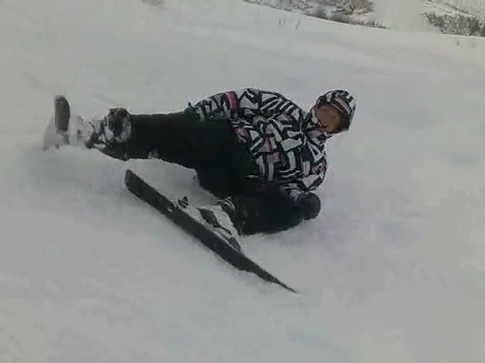 vive le ski