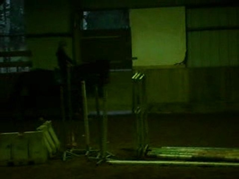 MOV06141
