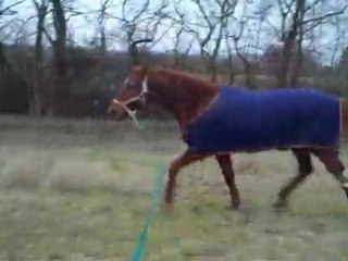 Manix ! 7 février 2010.