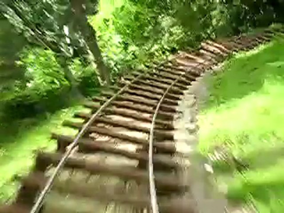 Montagnes russes dans son jardin