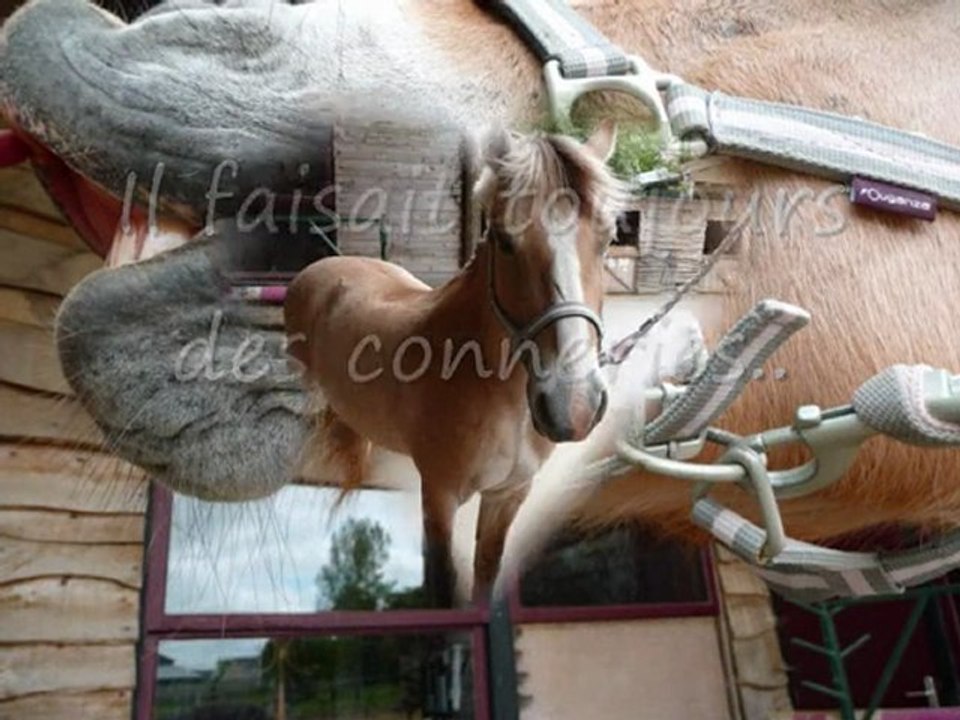 Gold&Léyaa ♥