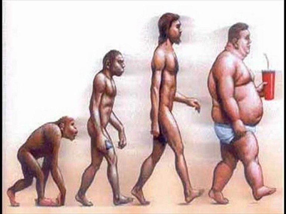 Como  adelgazar. Dietas Pesos.Como Bajar de Peso Dieta.