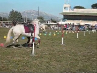 marches a salon, stand by