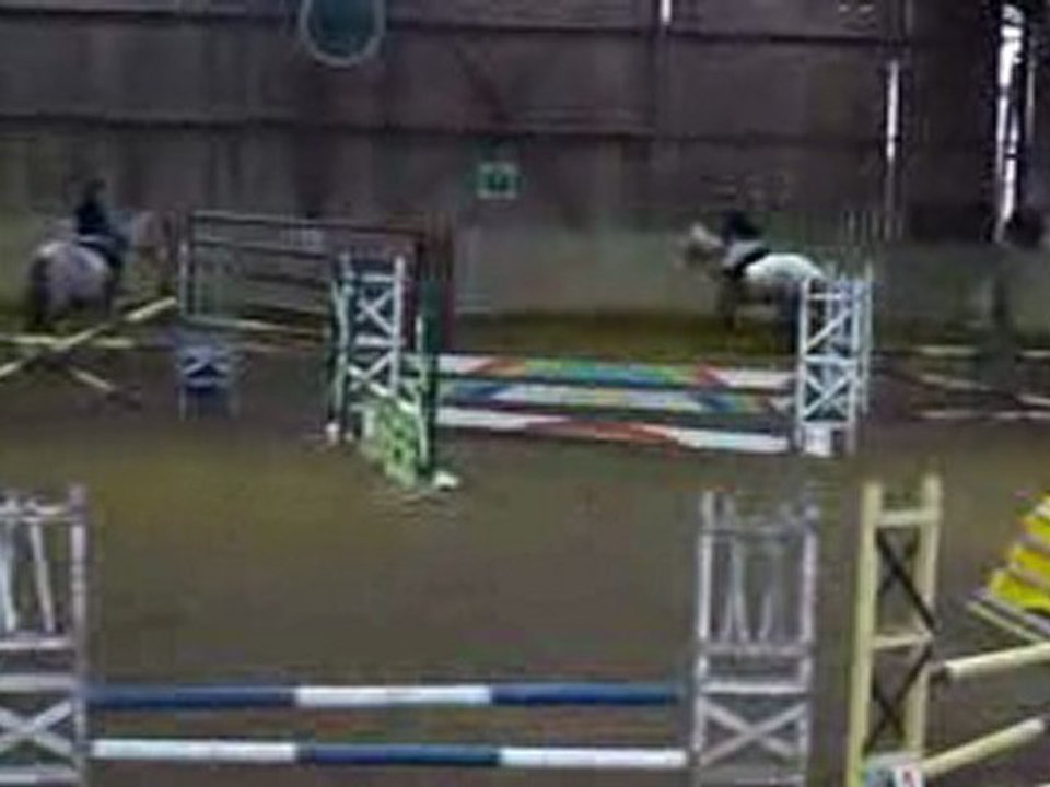 Concours Allonnes - 7.01.2010 - Flore et Chonchon