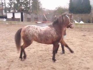 Sucette fait le pas espagnol (2)