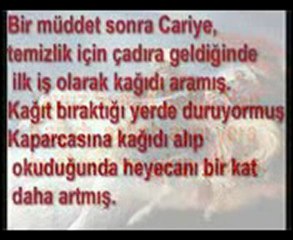 cariyenin aşkı