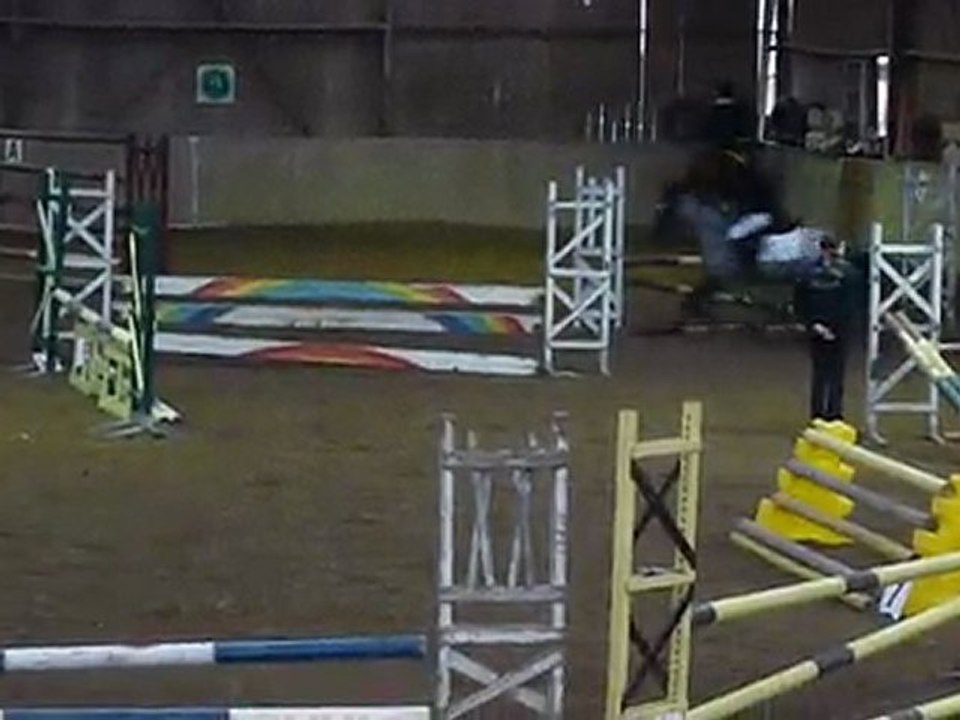 Concours Allonnes - 7.01.2010 - Quentin et Ohé