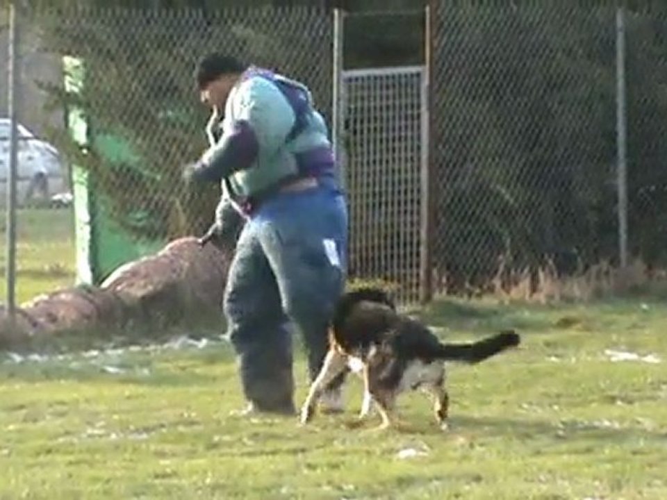 Concours Boomer à Echillais, pointage 185,10
