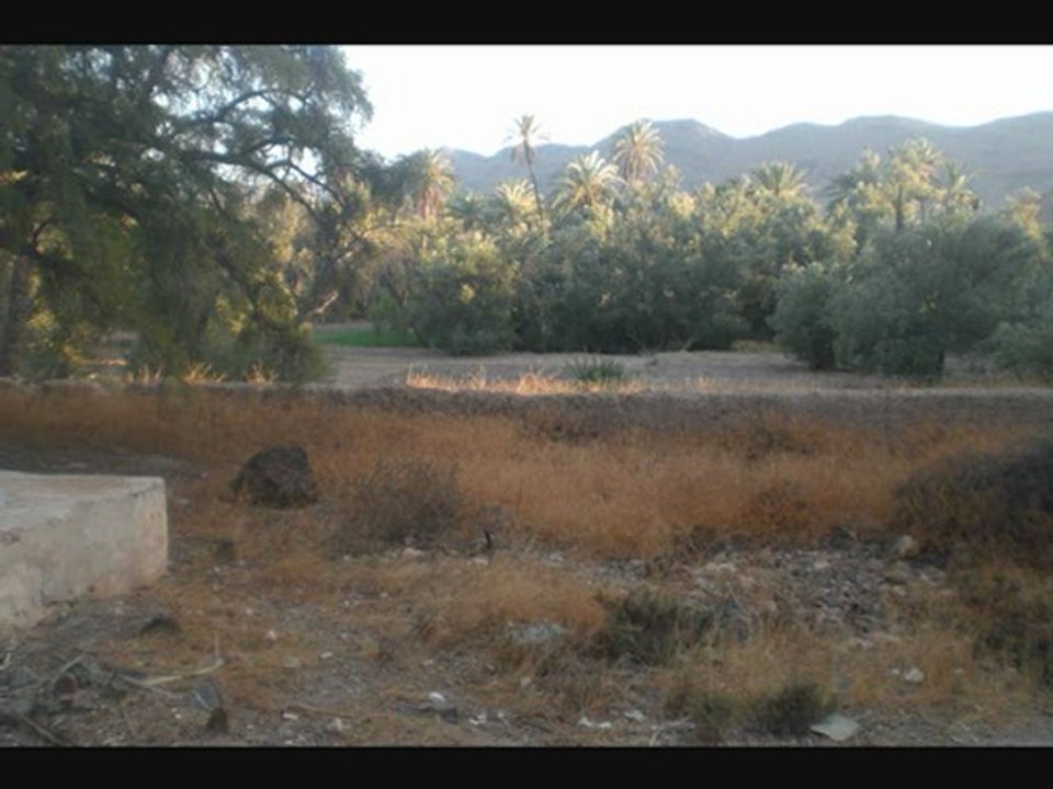 hadit  si 3bd rahman chr9i (si 3bd rahman cgr9i ) 1