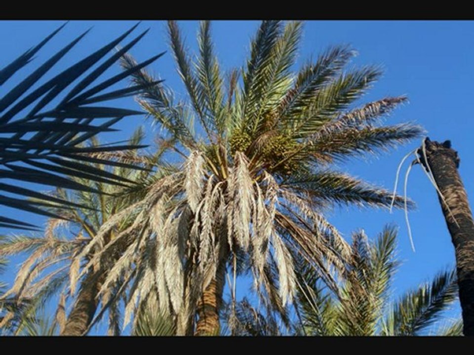 hdit 3bdrhman chr9i ramadan2