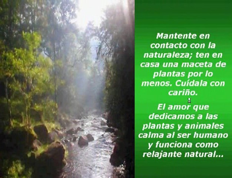 Video 108 EL SECRETO en youtube, pelicula, video, dvd, tv