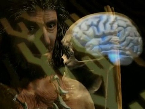 Planete Terre La Terre Des Hommes 2