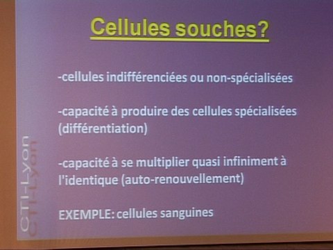 TULLE CONFERENCE sur les CELLULES SOUCHES