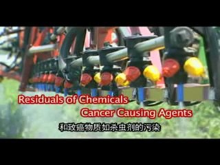 What Can ENZYMES Do For You...