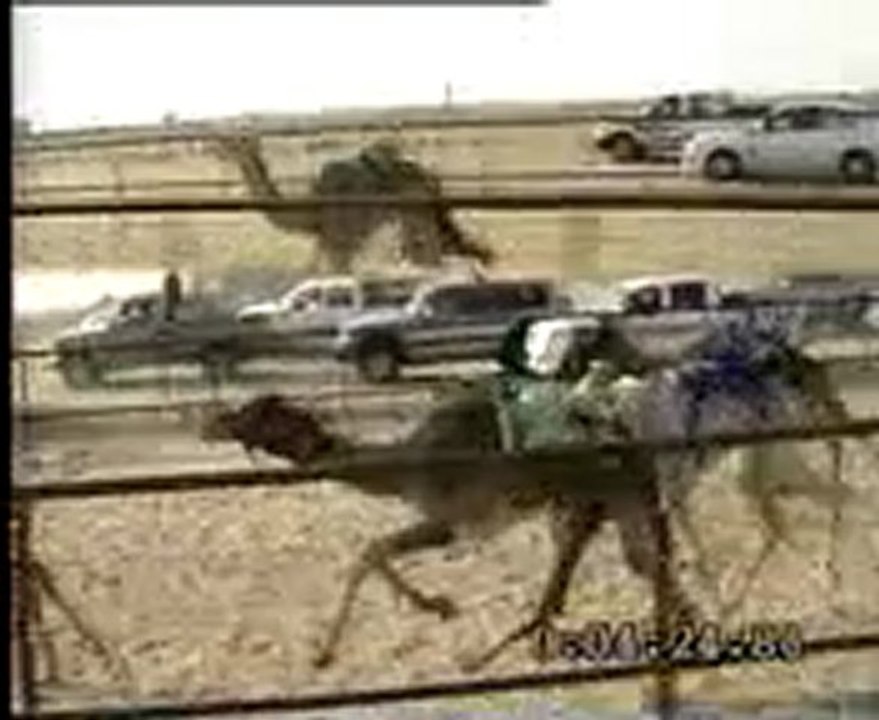 Race 9 On 30.01.2010 pm 4 Km